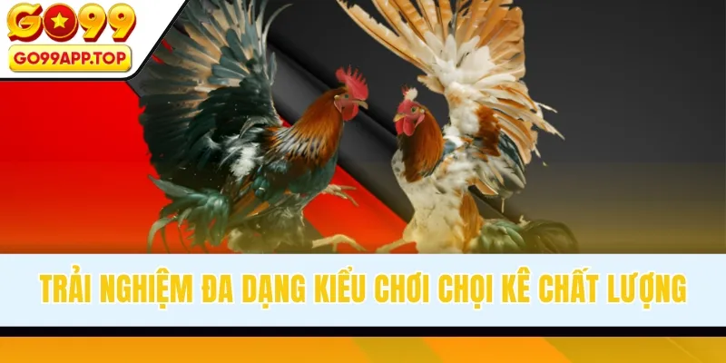 Trải nghiệm đa dạng kiểu chơi chọi kê chất lượng